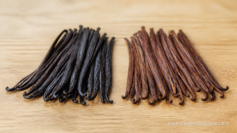 Comparaison entre vanille noire gourmet et vanille rouge de Madagascar
